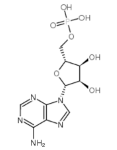 5'-腺嘌呤核苷酸