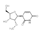2'-甲氧基尿苷