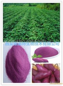 紫薯粉 紫薯多糖 紫薯多肽 代加工压片糖果