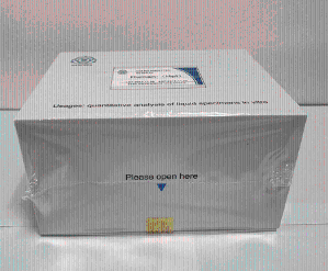 氯离子胞内通道蛋白4(CLIC4)ELISA定量分析试剂盒