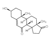 7-酮基去氢表雄酮CAS号：566-19-8