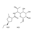 盐酸克林霉素一水物试剂级，800ug/mg(58207-19-5)