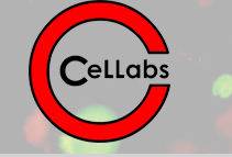 进口Cellabs热带病检测试纸