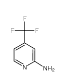 2-氨基-4-三氟甲基吡啶