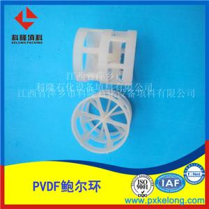 PVDF（聚偏氟乙烯）鮑爾環填料