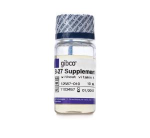 B-27™ Supplement (50X), minus vitamin A