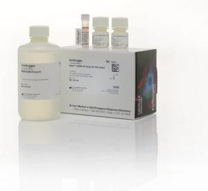 Qubit™ dsDNA HS Assay Kit