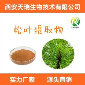 松叶提取物  松针提取物 松针粉 *