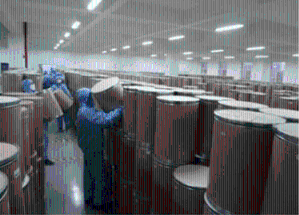 1,2,4-三氮唑生产