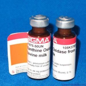 进口试剂4-羟基-L-脯氨酸Sigma H54409进口