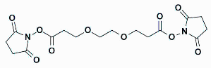 双取代丙烯酸琥珀酰亚胺酯-聚乙二醇 产品图片