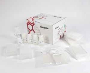 AxyPrep血基因组DNA中量试剂盒