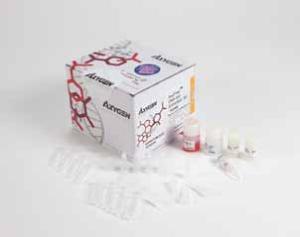 AxyPrep DNA凝胶回收试剂盒