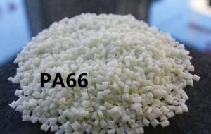 PA66 意大利LATI 66 H2 G/30