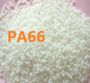 PA66 瑞士EMS BM-17-SBG 2