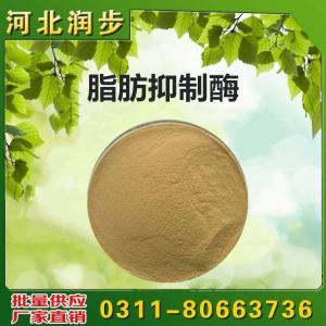 食用脂肪抑制酶價格  用法  用量