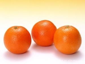 柑橘果粉 柑橘提取物