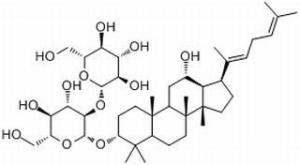 人参皂苷Rg5186763-78-0分析标准品,HPLC≥98%