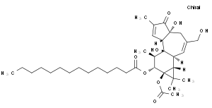 1.12-十四酸酯13-乙酸佛波醇 酯16561-29-8分析标准品,HPLC≥98%