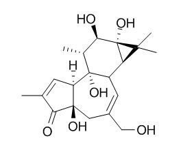 佛波醇17673-25-5分析标准品,HPLC≥98%