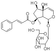 6'-O-肉桂酰基哈巴苷1245572-24-0分析标准品,HPLC≥98%