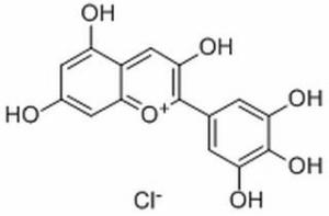 氯化飞燕草素528-53-0分析标准品,HPLC≥98%