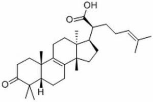 β-榄香酮酸28282-25-9分析标准品,HPLC≥98%