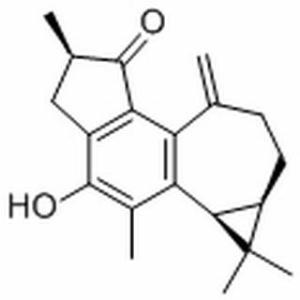 麻枫树酚酮B71386-38-4分析标准品,HPLC≥98%