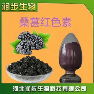 食用桑葚紅色素作用產(chǎn)品說(shuō)明