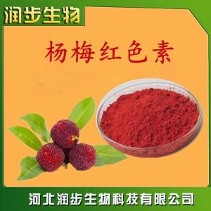 食用楊梅紅用法用量