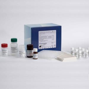 鲸甲状腺素T4检测试剂盒
