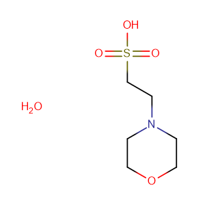 2-(n-吗啉)乙磺酸一水物 cas号:145224-94-8 现货优势供应 科研产品