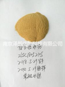 百合提取物 百合粉 百合代加工 南京泽朗生产百合粉